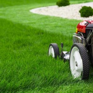 Bellingham Yard Maintenance