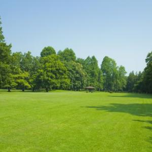 Bellingham Land Improvement