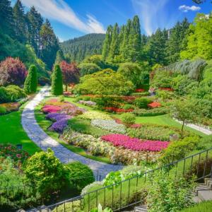 Bellingham Landscape Design