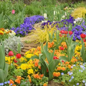 Bellingham Garden Design